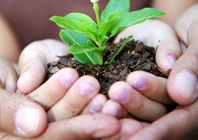 Girl holding Seedling