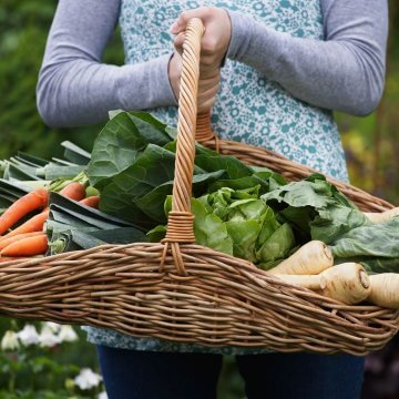 Woman with garden basket. 10 Money saving home garden crops