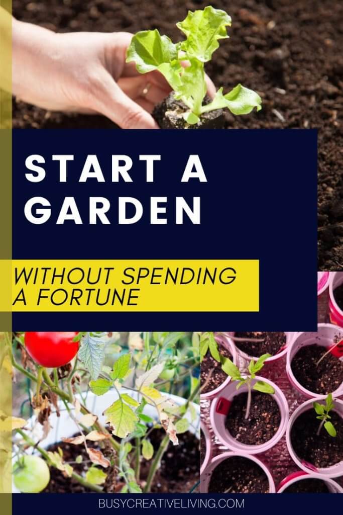Start a garden without spending a fortune