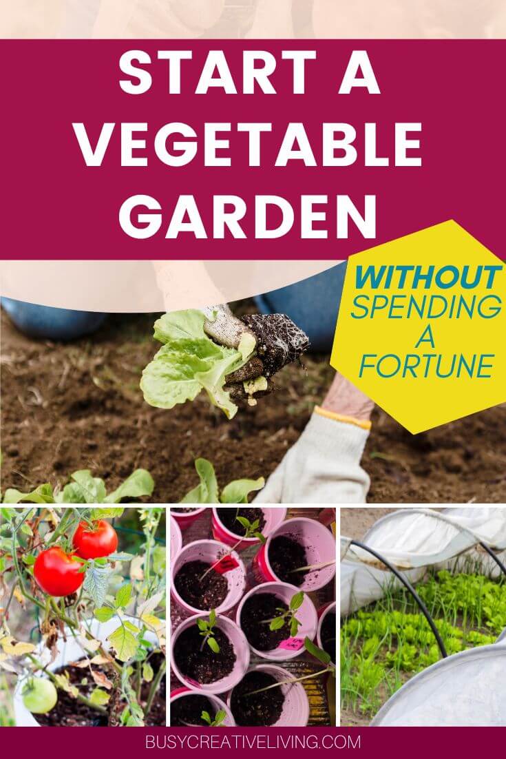 Collage image with woman planting lettuce, tomato seedlings, tomatoes growing in a bucket, and plastic low tunnels